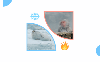 Hot vs Cold Showers After Workout: Recovery Benefits for Athletes1 min read