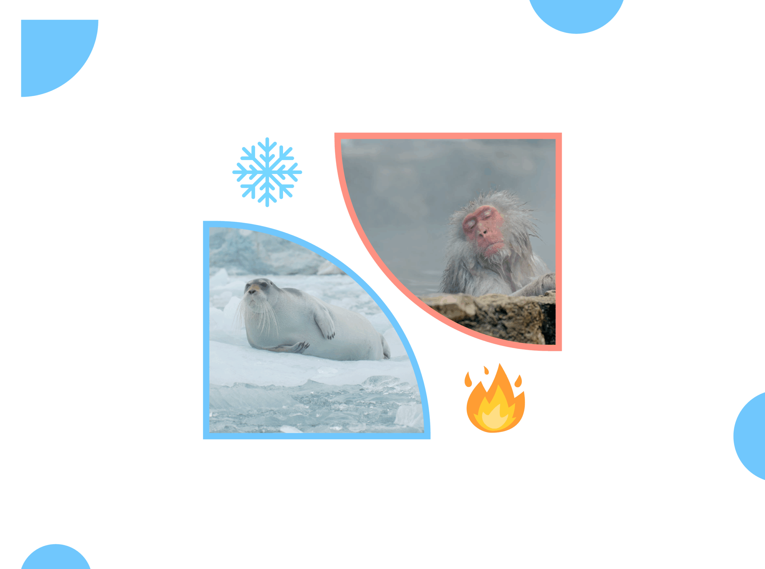 hot vs cold shower